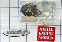 102-01-2107 Walbro Carburetor Diaphragm & Gasket Kit - D10-WZ