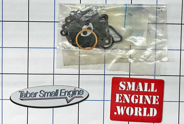 102-01-2107 Walbro Carburetor Diaphragm & Gasket Kit - D10-WZ