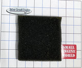 103-02-4030 - Air Filter - Tecumseh OEM - 34703