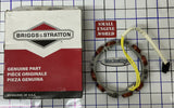 106-04-0001 Briggs & Stratton OEM Alternator 846882